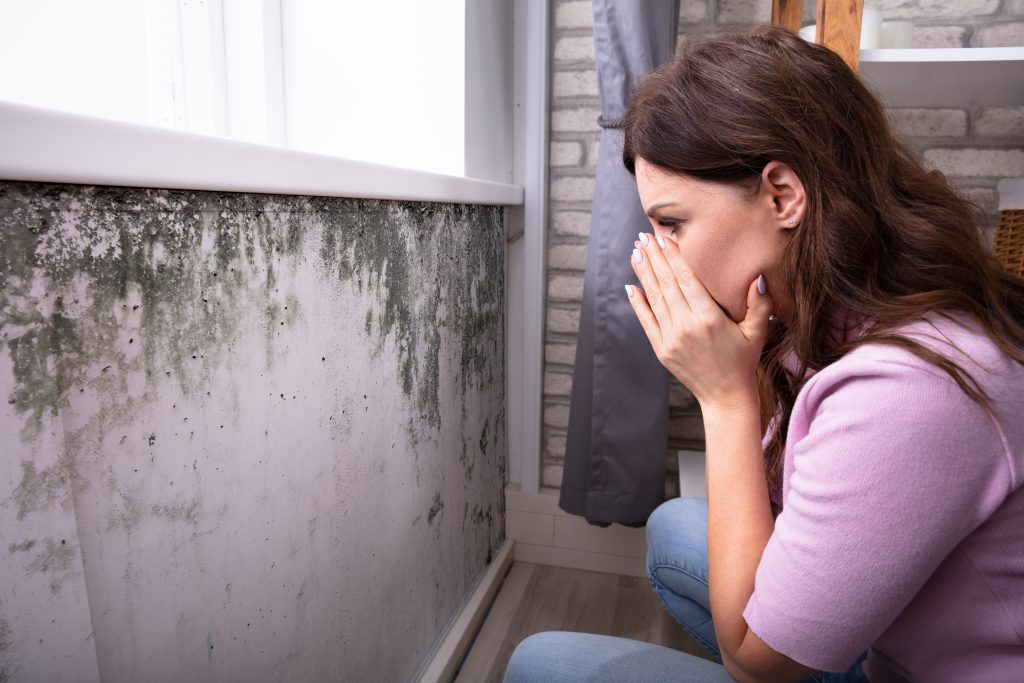 Schimmelentfernung Zuhause: Ursachen für Schimmel und Risiken