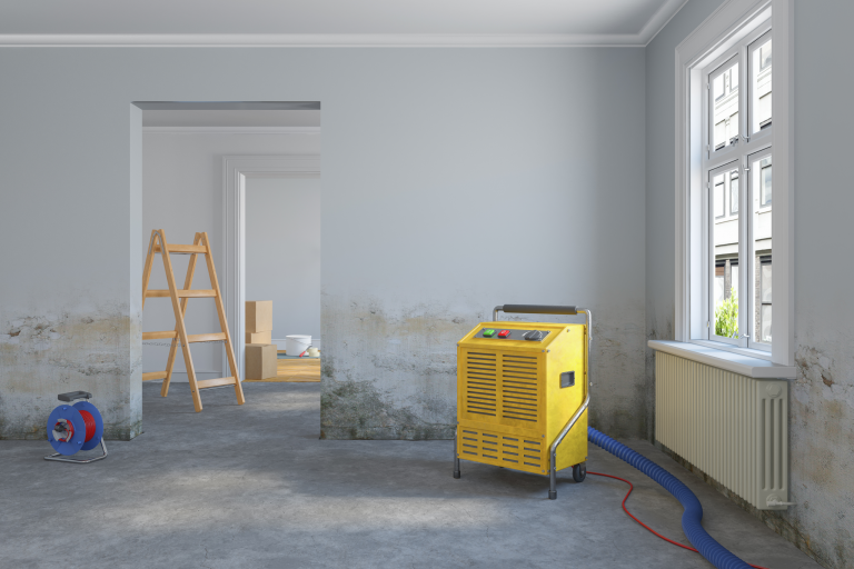 Trocknung nach Wasserschaden in Wörrstadt